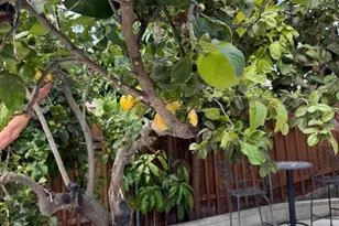 1920 Via Encantadoras, San Ysidro, CA 92173 - Photo 29
