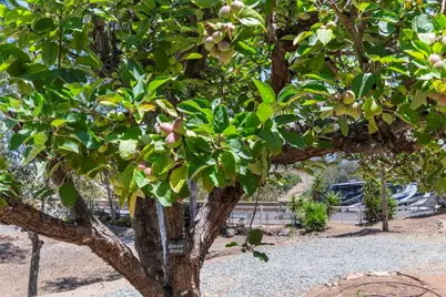 1238 Cedar Street, Ramona, CA 92065 - Photo 43