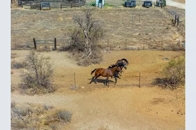 1366 Far Valley Road, Campo, CA 91906 - Photo 23