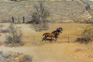 1366 Far Valley Rd, Campo, CA 91906 - Photo 23