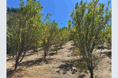 45481 Camaron Road, Temecula, CA 92590 - Photo 11