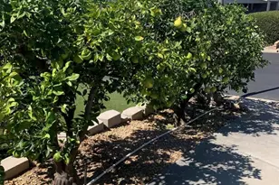 1622 Lotus, Escondido, CA 92026 - Photo 29