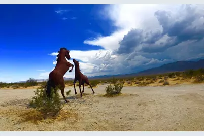 1634 Las Casitas Drive, Borrego Springs, CA 92004 - Photo 13
