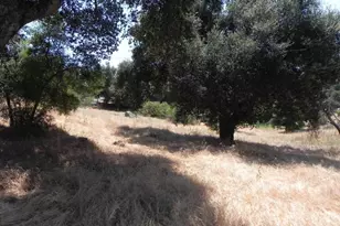 0 Arrowhead Ln, Descanso, CA 91916 - Photo 1