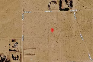 45850 Barrett Rd, Newberry Springs, CA 92592 - Photo 1