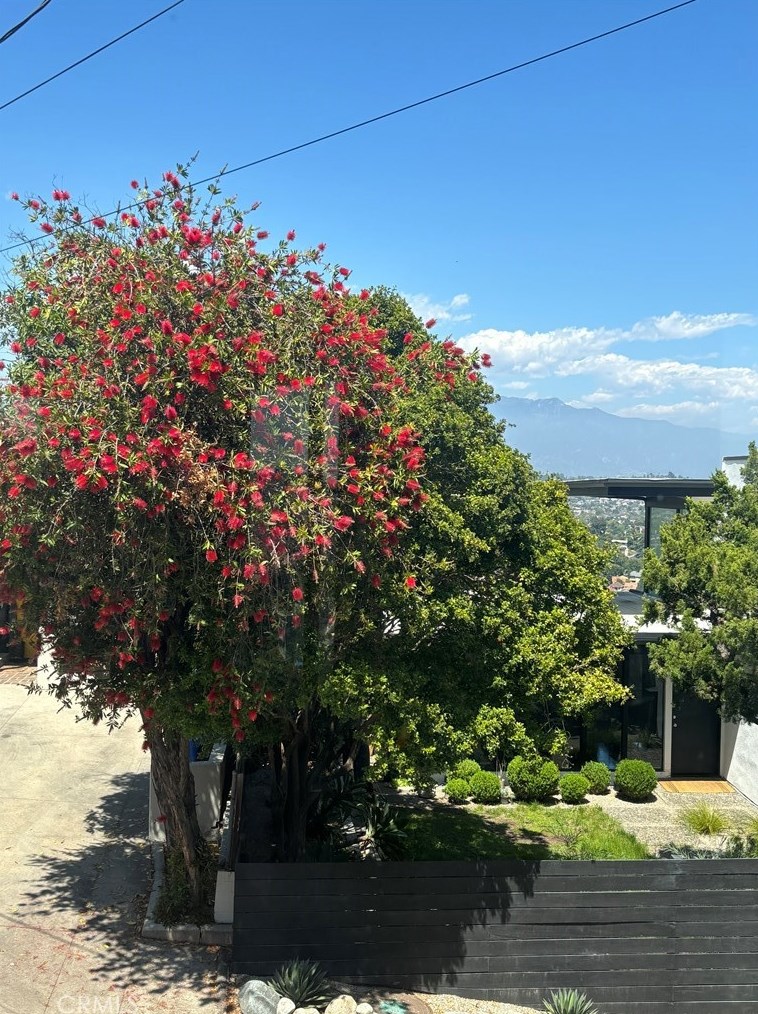 597 Crane Blvd, Los Angeles CA  90065-5019 exterior