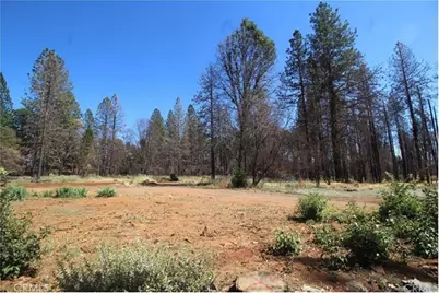 8746 Skyway, Paradise, CA 95969 - Photo 3