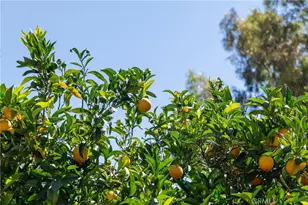 2 Chuckwagon Rd, Rolling Hills, CA 90274 - Photo 53