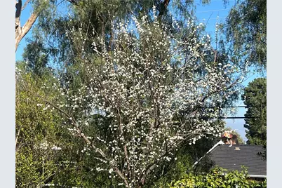 2 Chuckwagon Road, Rolling Hills, CA 90274 - Photo 5