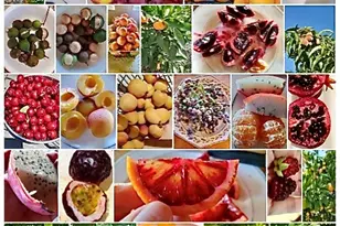 2 Chuckwagon Rd, Rolling Hills, CA 90274 - Photo 51