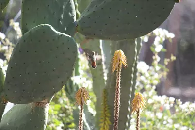 2 Chuckwagon Road, Rolling Hills, CA 90274 - Photo 65