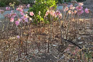 2 Chuckwagon Rd, Rolling Hills, CA 90274 - Photo 57