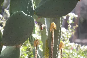 2 Chuckwagon Rd, Rolling Hills, CA 90274 - Photo 63