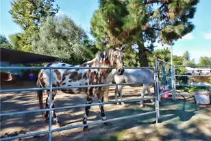 2321 Carriage, Rolling Hills Estates, CA 90274 - Photo 9