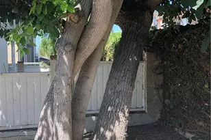 620 N Guadalupe Ave, Redondo Beach, CA 90277 - Photo 17