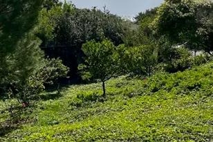 3200 La Rotonda, Rancho Palos Verdes, CA 90275 - Photo 41