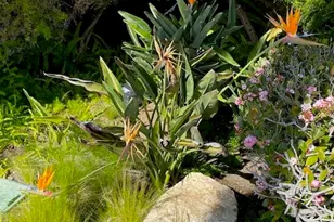 3200 La Rotonda, Rancho Palos Verdes, CA 90275 - Photo 45