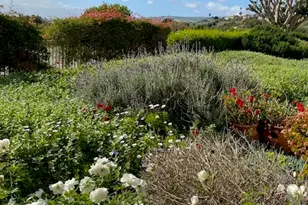 3200 La Rotonda, Rancho Palos Verdes, CA 90275 - Photo 43