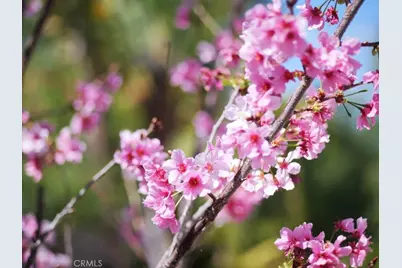 9 Casaba Road, Rolling Hills Estates, CA 90274 - Photo 9