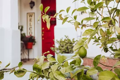 444 Monte Vista, Palm Desert, CA 92260 - Photo 21