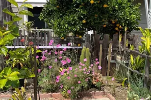 1065 Lomita Blvd, Harbor City, CA 90710 - Photo 25