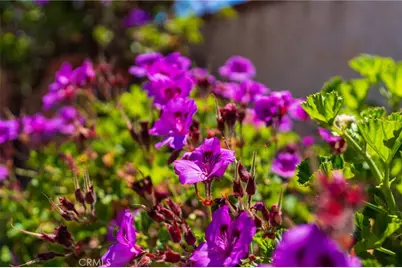 4626 Greenmeadows Avenue, Torrance, CA 90505 - Photo 23