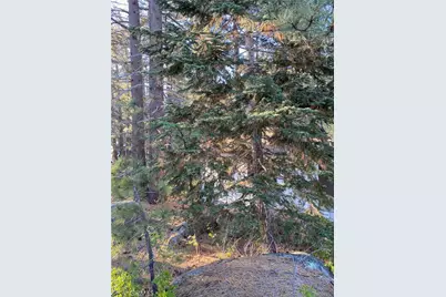 0 Cienega Road, Big Bear Lake, CA 92315 - Photo 25