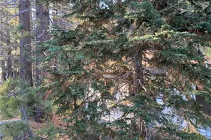 0 Cienega Rd, Big Bear Lake, CA 92315 - Photo 25