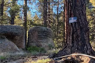 0 Cienega Rd, Big Bear Lake, CA 92315 - Photo 11