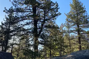 0 Cienega Rd, Big Bear Lake, CA 92315 - Photo 19