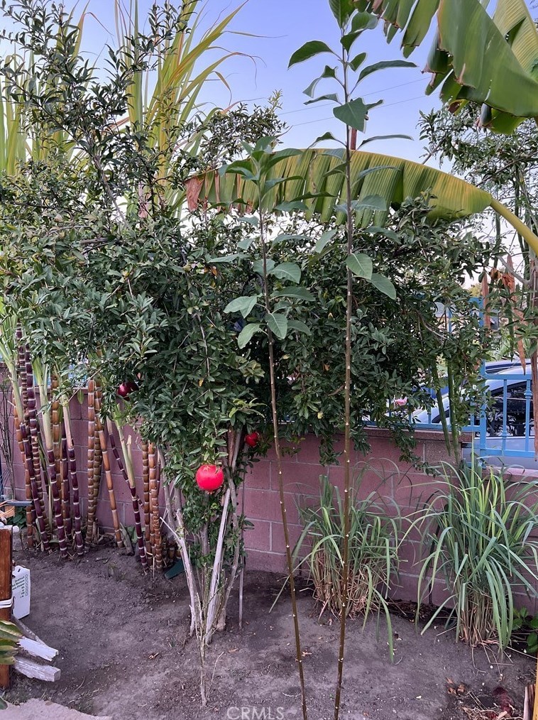 12639 Paddison Ave, Norwalk CA  90650-3052 exterior