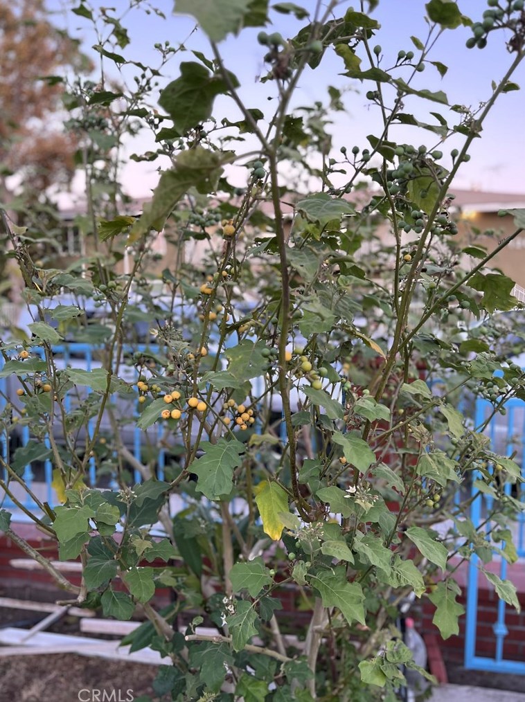 12639 Paddison Ave, Norwalk CA  90650-3052 exterior