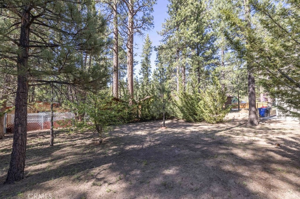 913 Mtn Ln, Big Bear City CA  92314-9110 exterior