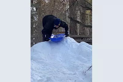 41604 Hummingbird Lane, Big Bear Lake, CA 92315 - Photo 43