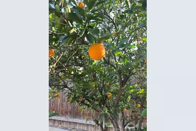 24931 Heil Drive, Moreno Valley, CA 92553 - Photo 55