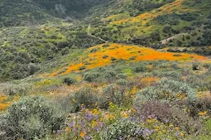 23900 Fellows Wy, Perris, CA 92570 - Photo 63