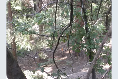 0 Forest Lane, Twin Peaks, CA 92391 - Photo 7