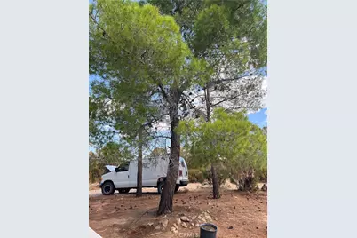 45080 Terwilliger Road, Anza, CA 92539 - Photo 15