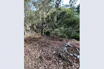 2977 Ramsey Street, Cambria, CA 93428 - Photo 3
