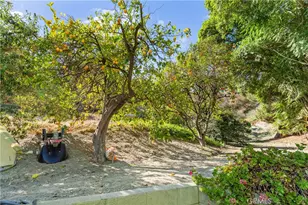 171 Canada Sombre Rd, La Habra Heights, CA 90631 - Photo 47