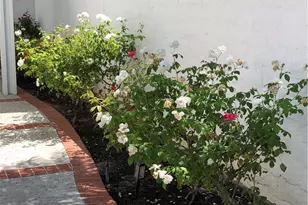 21341 Manzanillo, Mission Viejo, CA 92692 - Photo 33