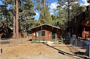 343 Holmes Ln, Sugarloaf, CA 92386 - Photo 19