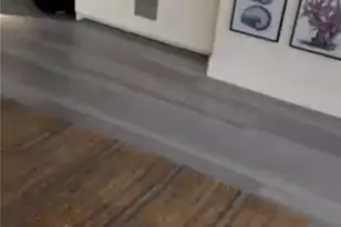 21851 21851 Newland, Huntington Beach, CA 92646 - Photo 7