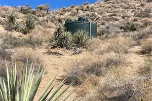 8787 Via La Scala, Morongo Valley, CA 92256 - Photo 9