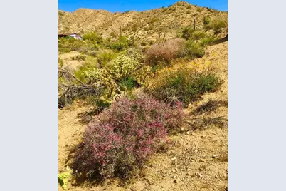 8787 Via La Scala, Morongo Valley, CA 92256 - Photo 5