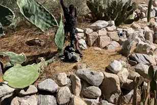 8787 Via La Scala, Morongo Valley, CA 92256 - Photo 11