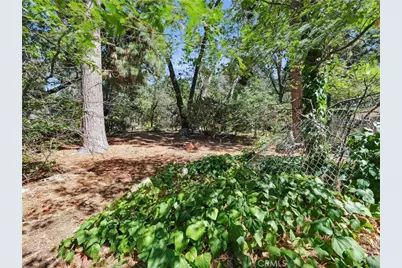 37590 Live Oak, Angeles Oaks, CA 92305 - Photo 33