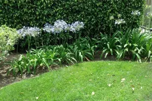 16040 Leffingwell Road, Whittier, CA 90603 - Photo 25