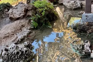 3050 S Bristol, Santa Ana, CA 92704 - Photo 5