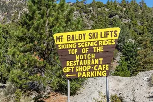 34 Manker Flts, Mount Baldy, CA 91759 - Photo 59